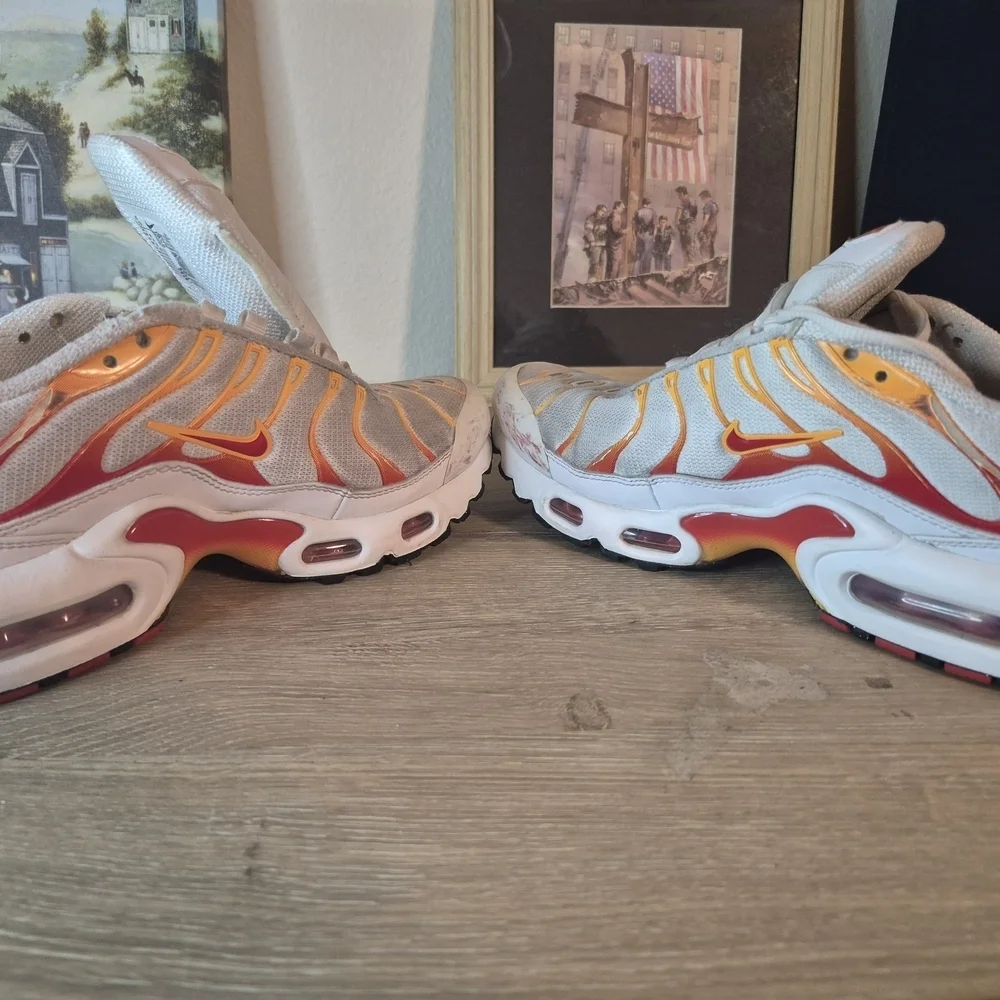 Nike Air Max Plus Sneakers(One shoelace is missing and it needs to be cleaned)